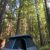 Review photo of Hidden Springs Campground — Humboldt Redwoods State Park by George A., June 22, 2021