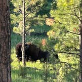 Review photo of Spokane Creek Cabins & Campground by Douglas L., June 22, 2021