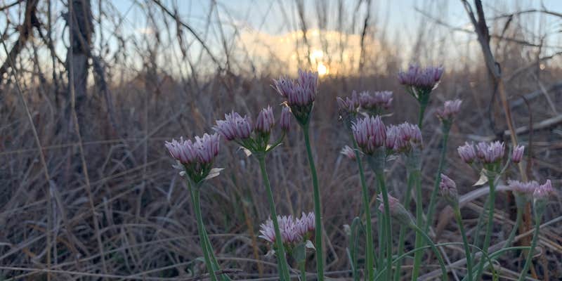 Camper submitted image from Alabaster Caverns State Park Campground