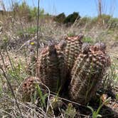 Review photo of Alabaster Caverns State Park Campground by Eric R., June 22, 2021