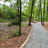 Review photo of Stone Mountain Park Campground by Myron M., June 22, 2021