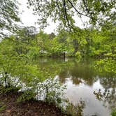 Review photo of Stone Mountain Park Campground by Myron M., June 22, 2021