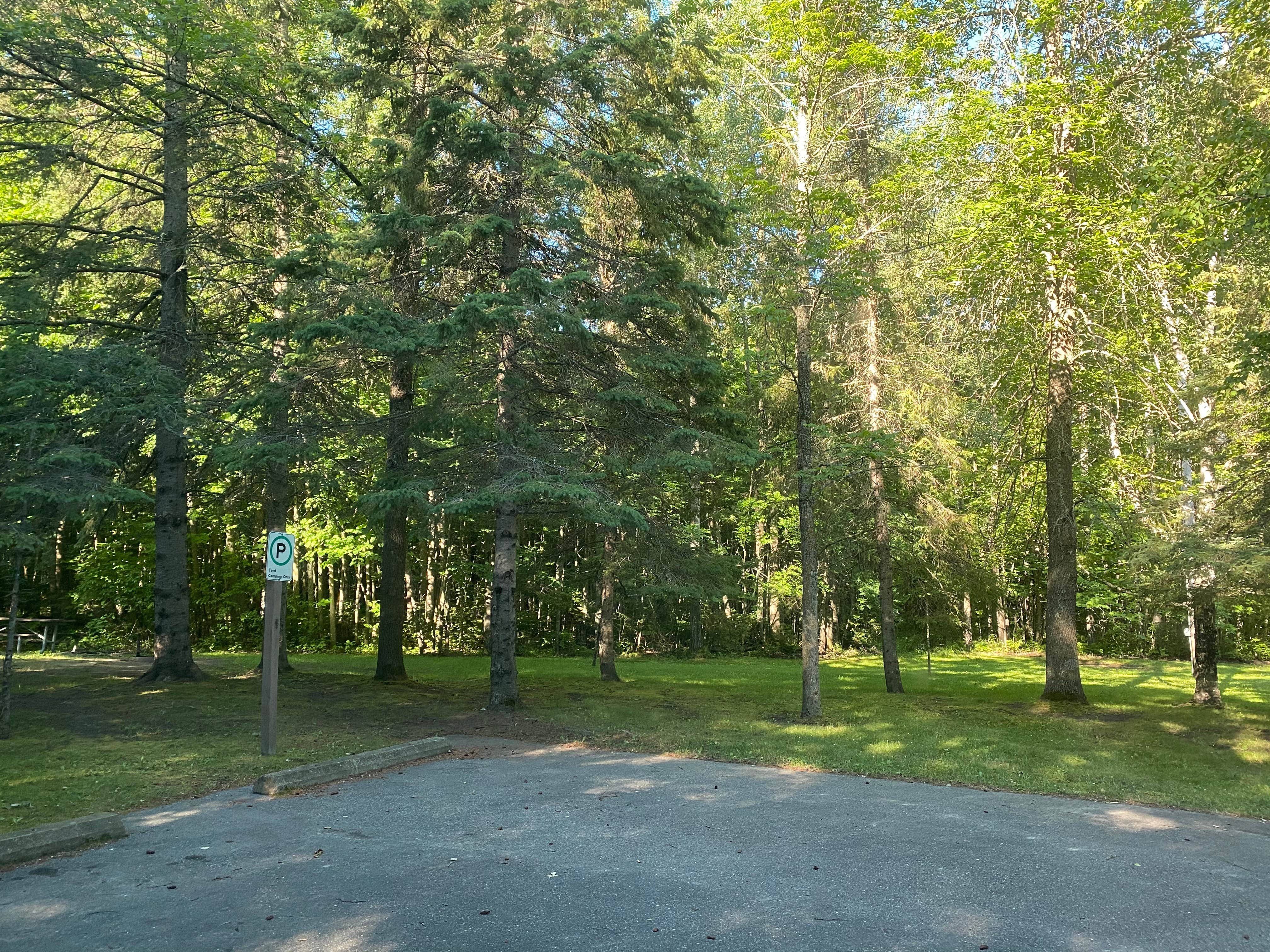 Camper submitted image from COE Leech Lake Reservoir Leech Lake Recreation Area - 1