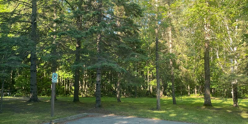 Camper submitted image from COE Leech Lake Reservoir Leech Lake Recreation Area