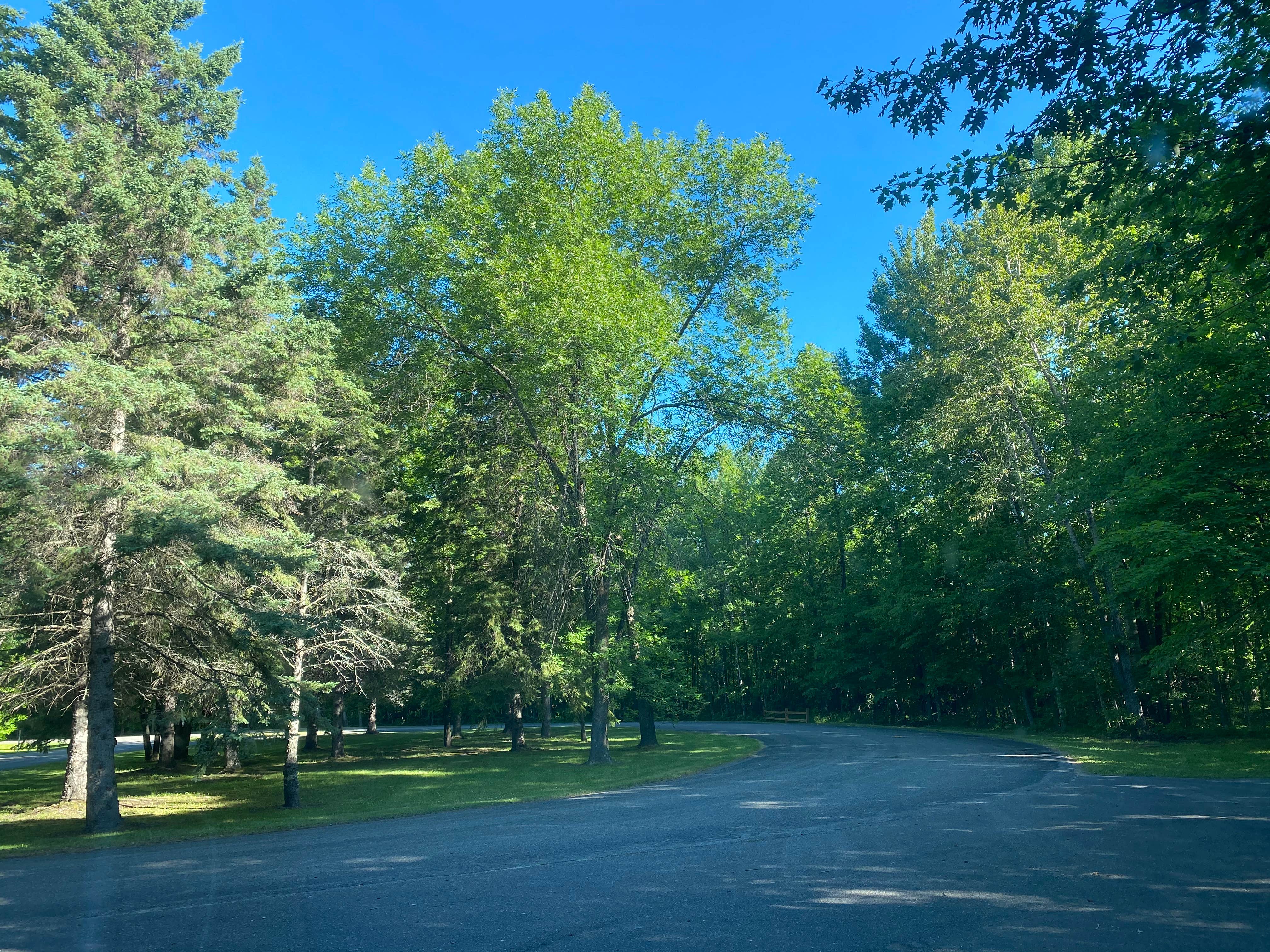 Camper submitted image from COE Leech Lake Reservoir Leech Lake Recreation Area - 4