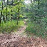 Review photo of Burt Lake State Park Campground by Myron M., June 22, 2021