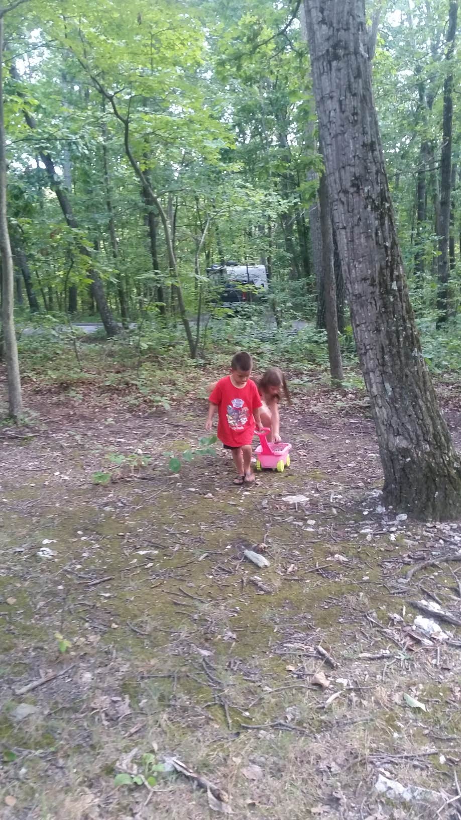 Camper-submitted photo at Little Bennett Campground near Chevy Chase, MD