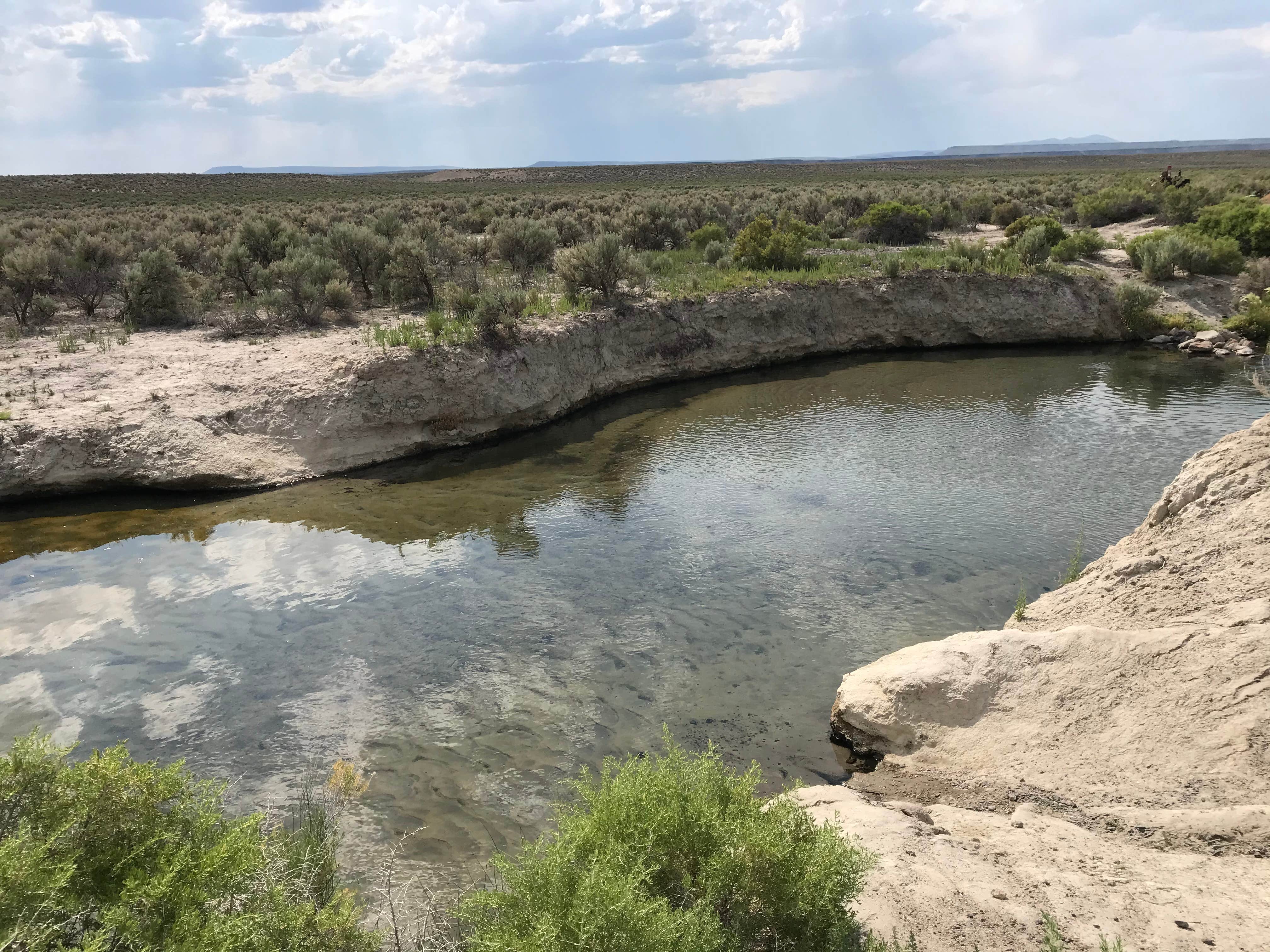 Chris's photo of a dispersed camping area at Bog Hot Springs Dispersed Camping near Denio, NV