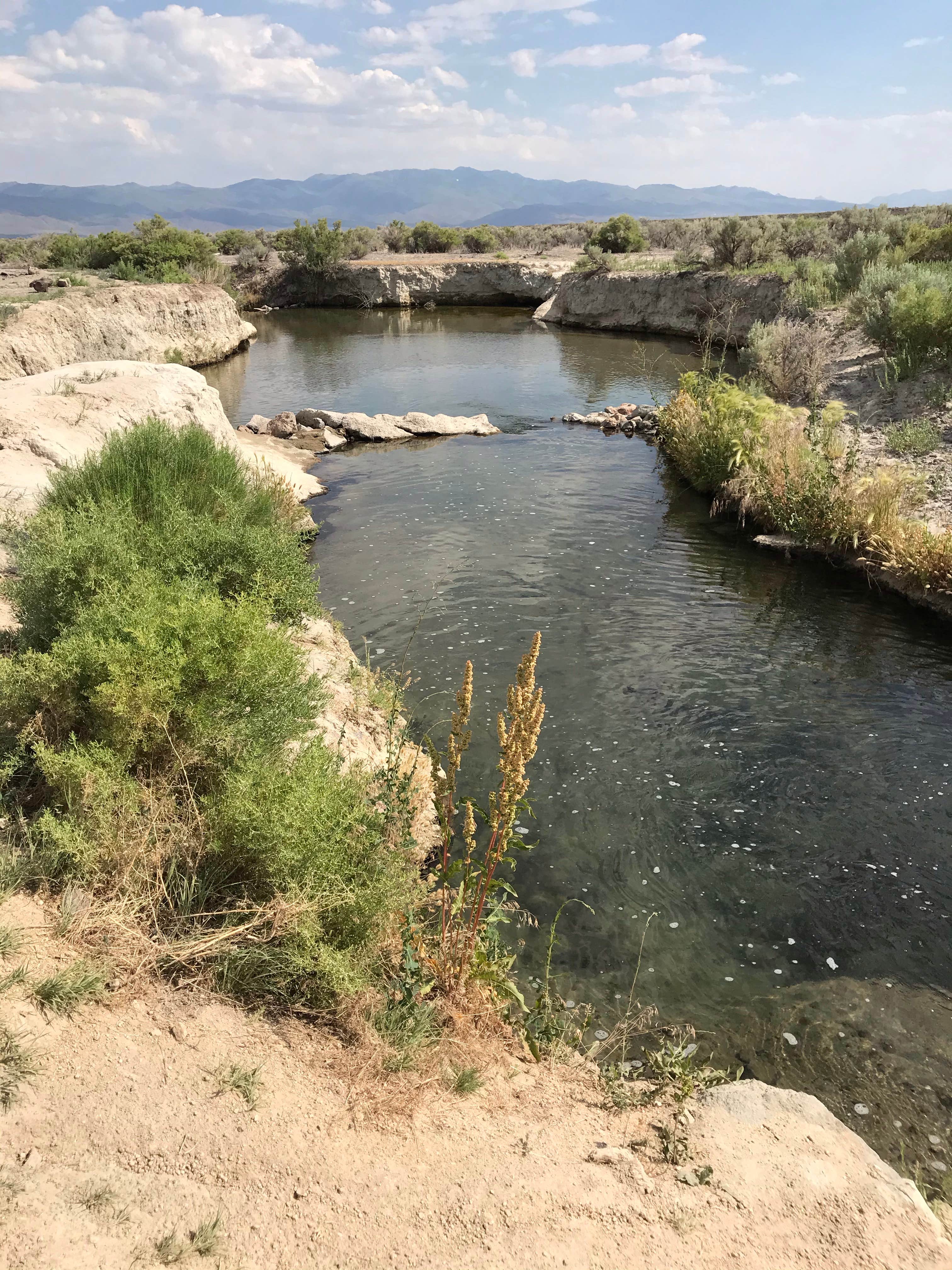 Camper submitted image from Bog Hot Springs Dispersed Camping - 5