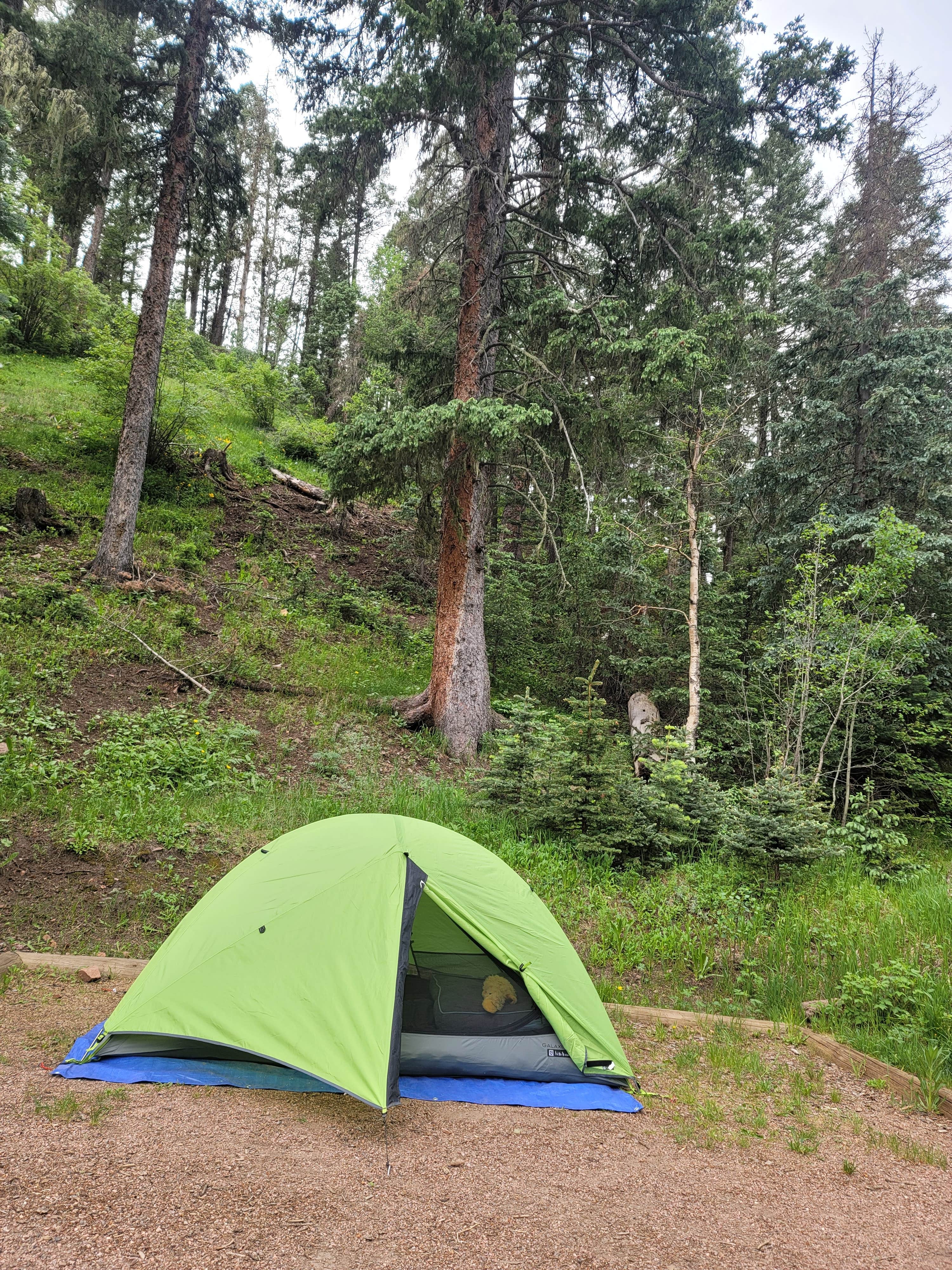 Maria L.'s photo of tent camping at Davenport Campground near Beulah, CO