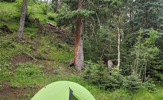 Maria L.'s photo of tent camping at Davenport Campground near Gardner, CO