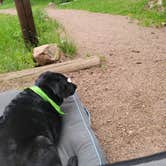 Review photo of Davenport Campground by Maria L., June 22, 2021