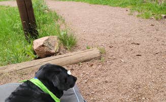 Maria L.'s photo of camping with pets at Davenport Campground near Rye, CO