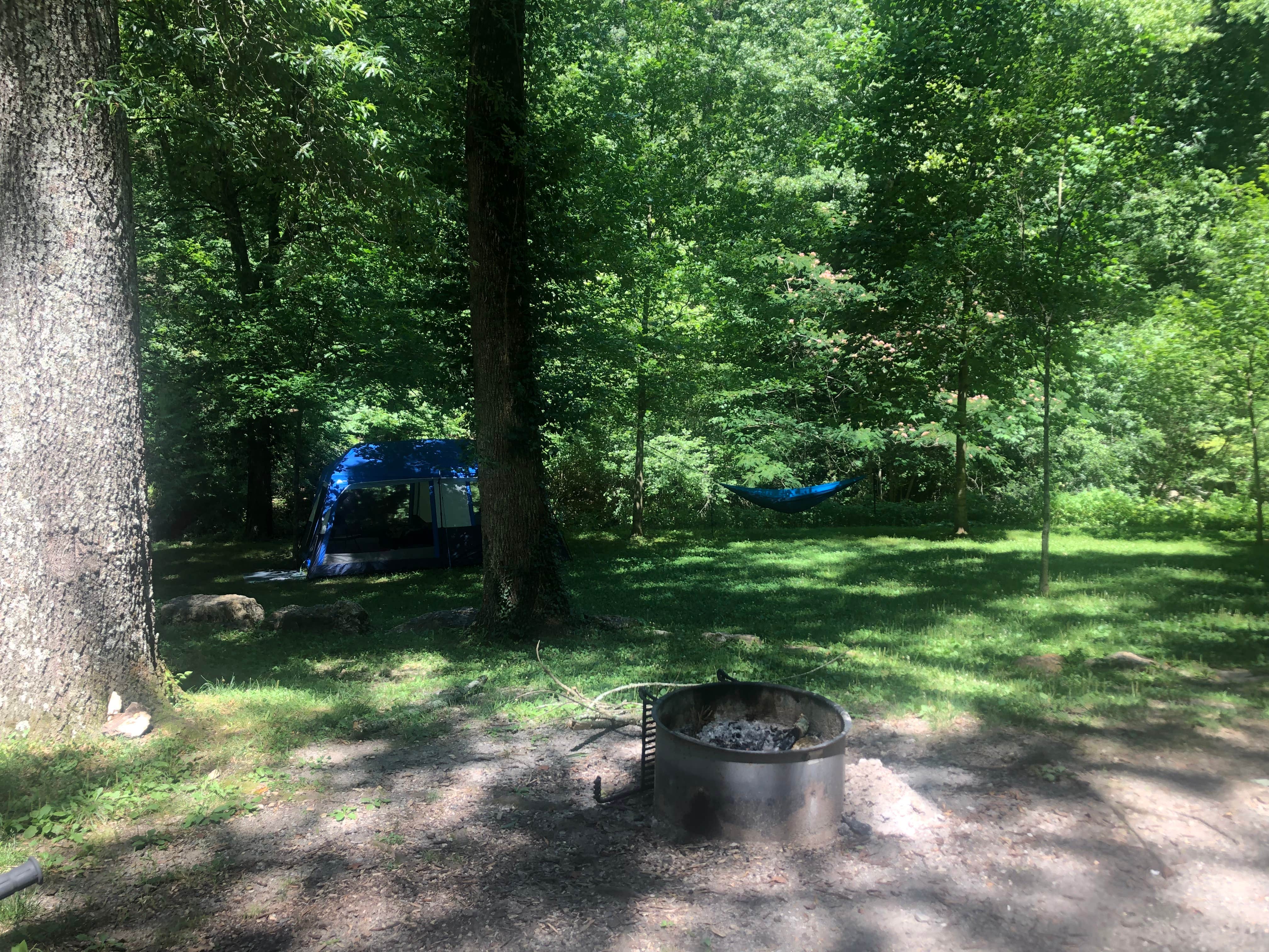 Best dispersed camping in Ouachita National Forest The Dyrt