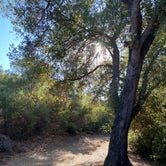 Review photo of Dos Picos County Park by Marcy M., June 22, 2021
