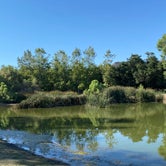 Review photo of Dos Picos County Park by Marcy M., June 22, 2021