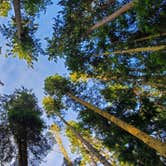 Review photo of Deception Pass State Park Campground by Josh G., June 22, 2021