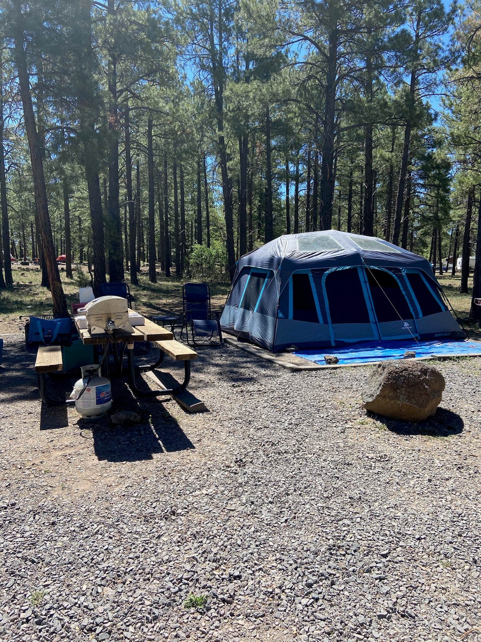 Debbie S.'s photo at Dogtown Lake Campground And Group near Williams, AZ