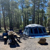 Review photo of Dogtown Lake Campground And Group by Debbie S., June 22, 2021