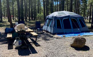 Debbie S.'s photo at Dogtown Lake Campground And Group near Parks, AZ