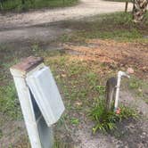 Review photo of Manatee Springs State Park Campground by Caitlin H., June 22, 2021