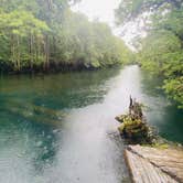 Review photo of Manatee Springs State Park Campground by Caitlin H., June 22, 2021