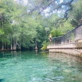 Review photo of Manatee Springs State Park Campground by Caitlin H., June 22, 2021