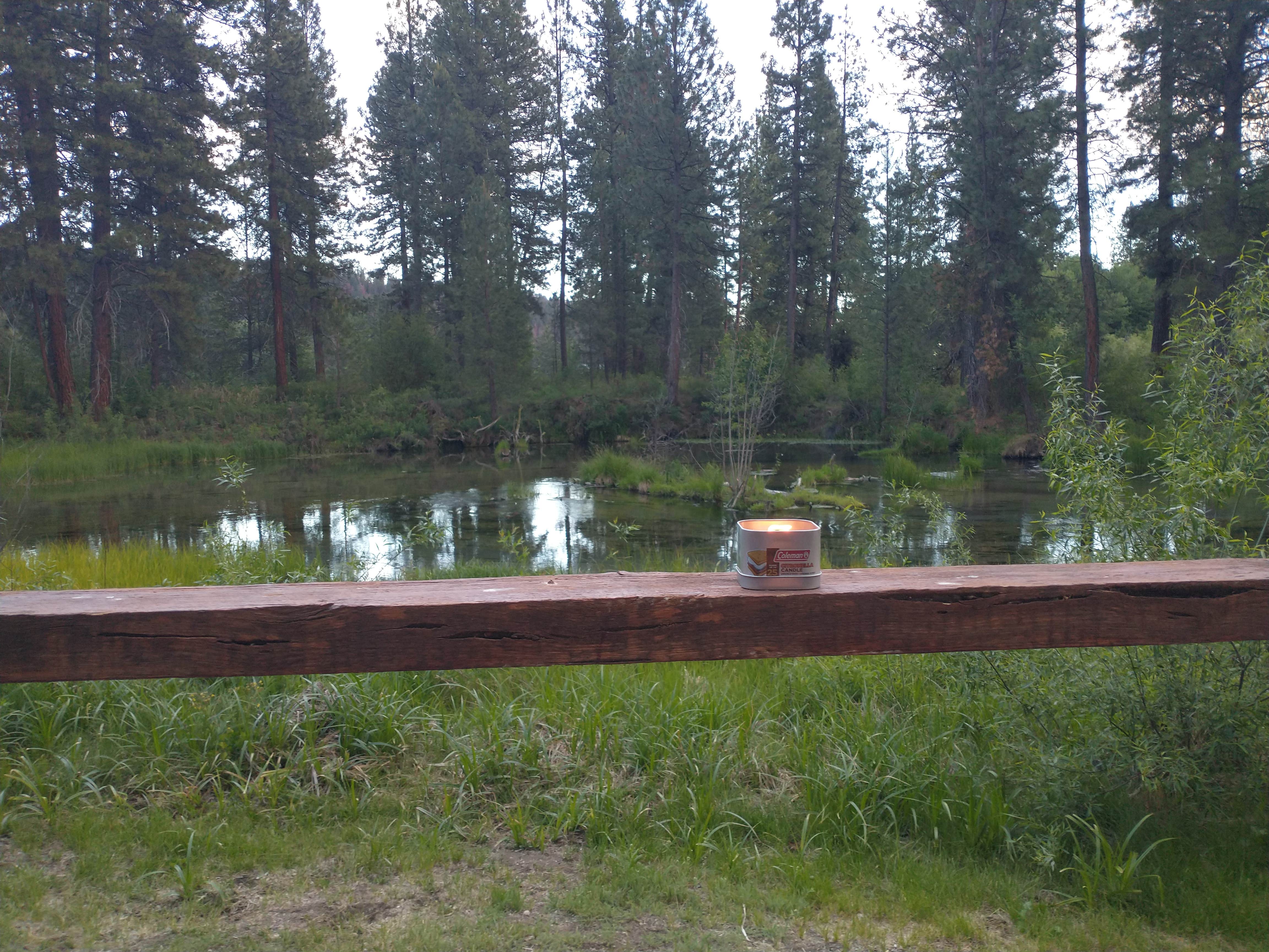 Camper submitted image from Crater Lake Resort - 3