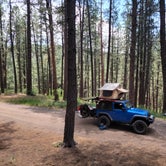 Review photo of Junction Creek Campground by Hunter , June 22, 2021