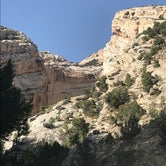 Review photo of Green River Campground — Dinosaur National Monument by Janette M., June 11, 2018
