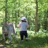 Review photo of Nordhouse Dunes Wilderness - Green Road by Kimberly S., June 22, 2021