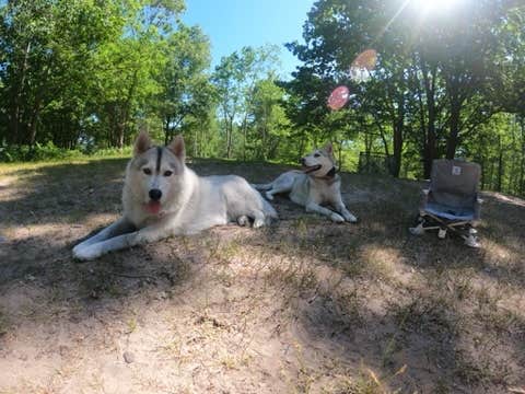 Kimberly S.'s photo of camping with pets at Nordhouse Dunes Wilderness - Green Road near Free Soil, MI