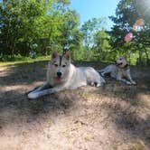 Review photo of Nordhouse Dunes Wilderness - Green Road by Kimberly S., June 22, 2021