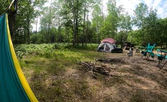 Kimberly S.'s photo at Nordhouse Dunes Wilderness - Green Road near Manistee, MI