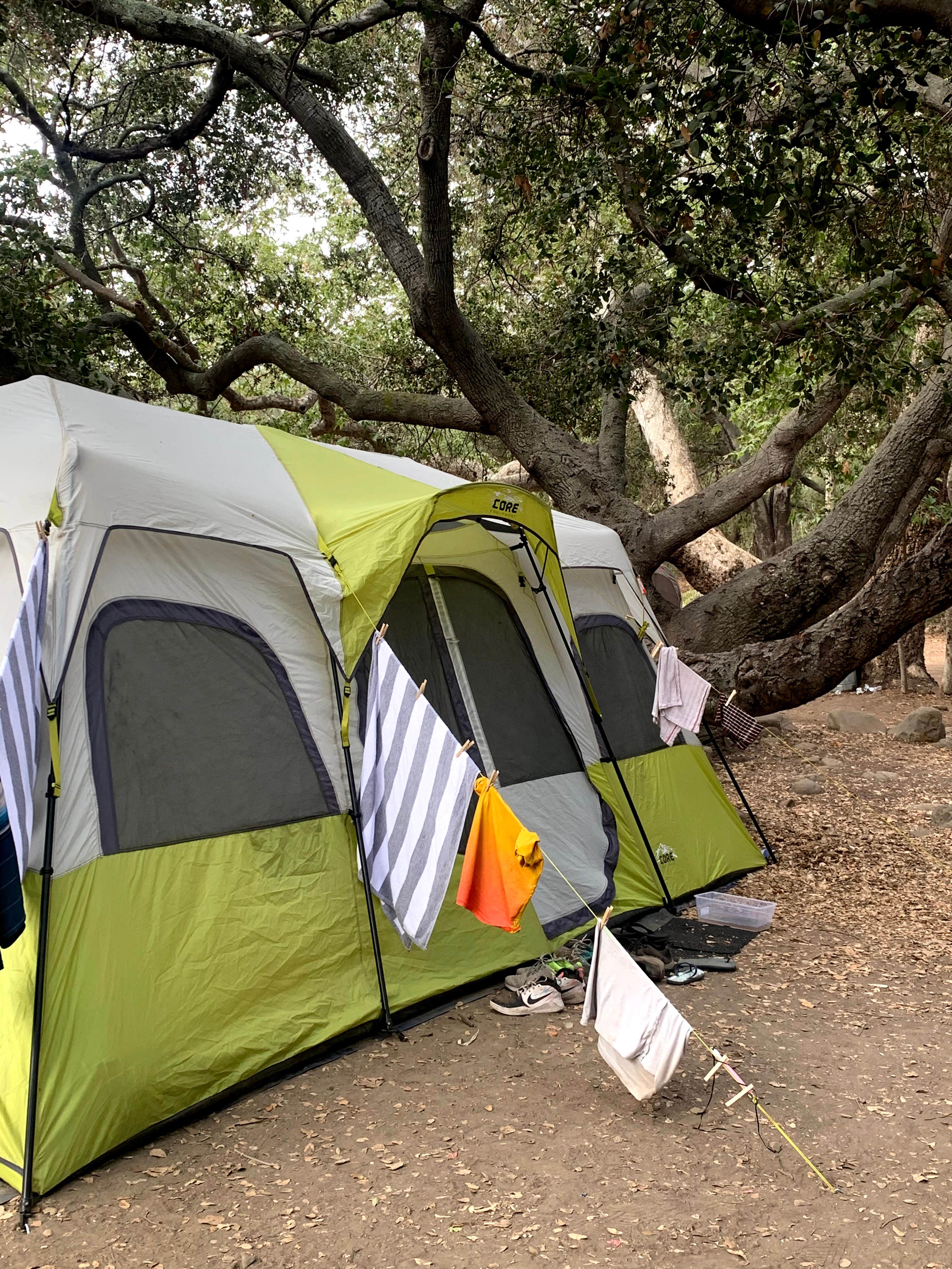 Camper submitted image from Steckel Park - 5