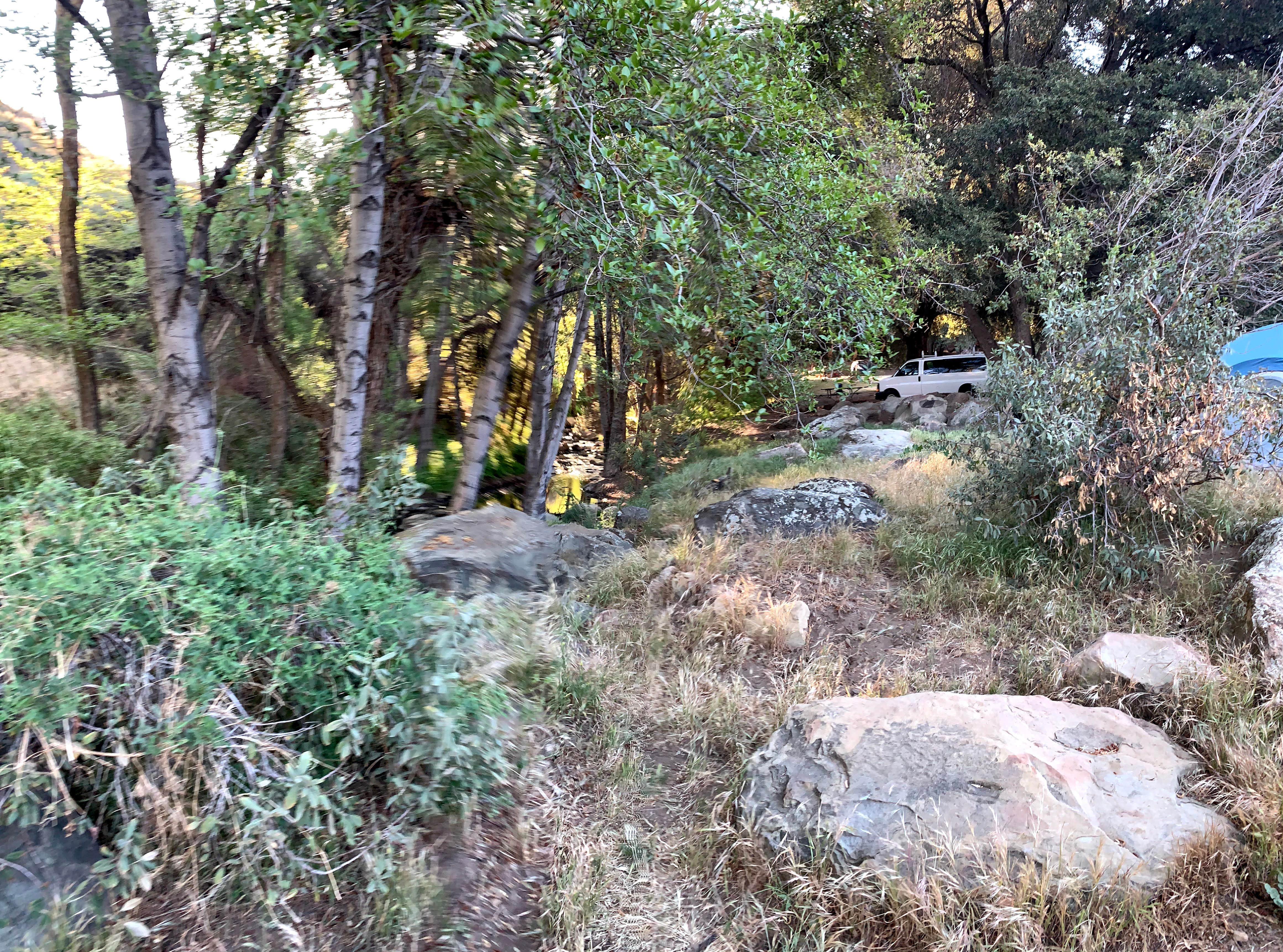 Reyes Creek Campground The Dyrt