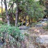 Review photo of Reyes Creek Campground by Campy F., June 22, 2021