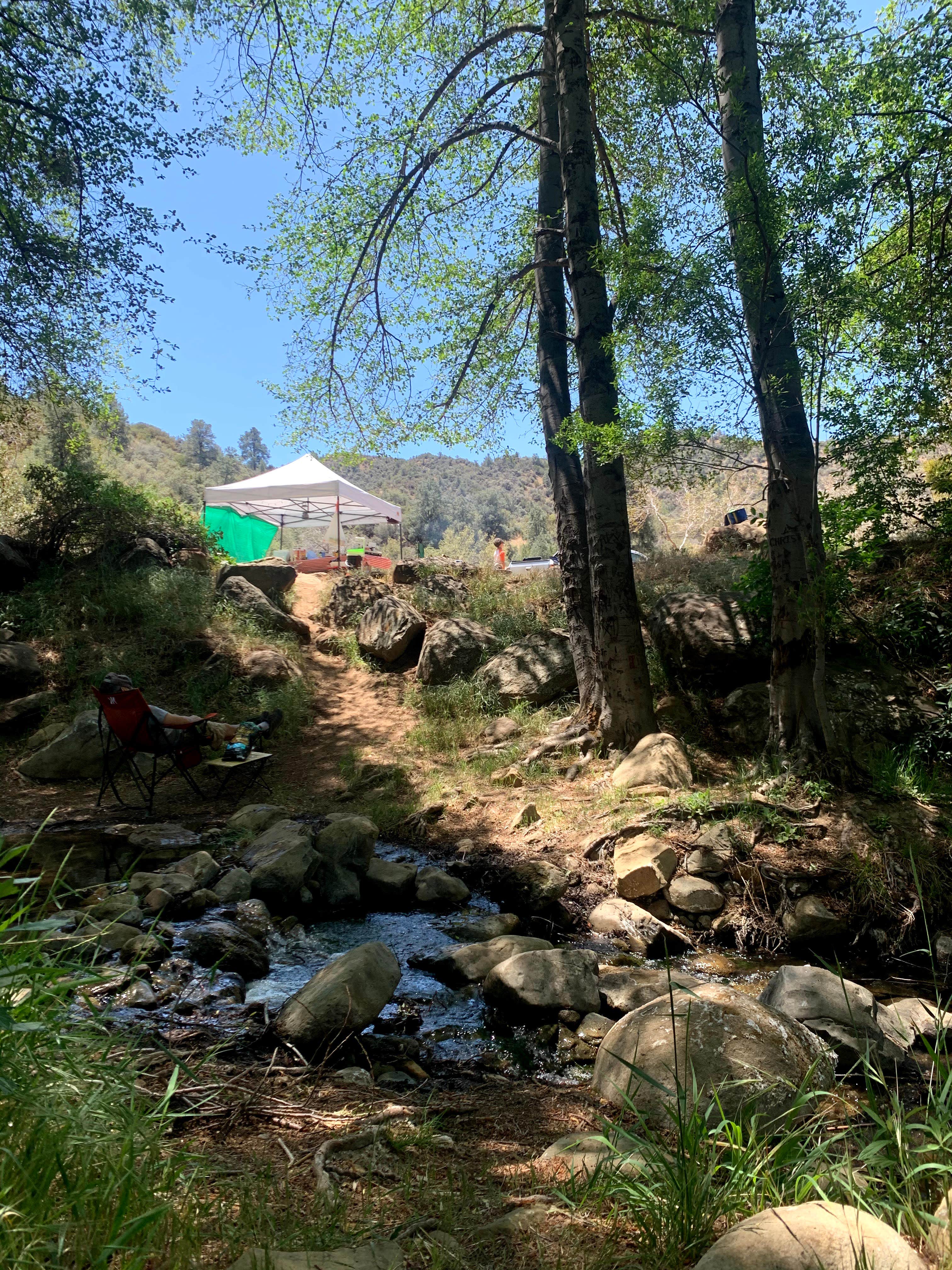 Reyes Creek Campground The Dyrt