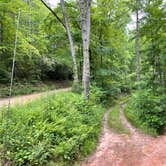 Review photo of Soggy Boot Campground by tamara , June 22, 2021