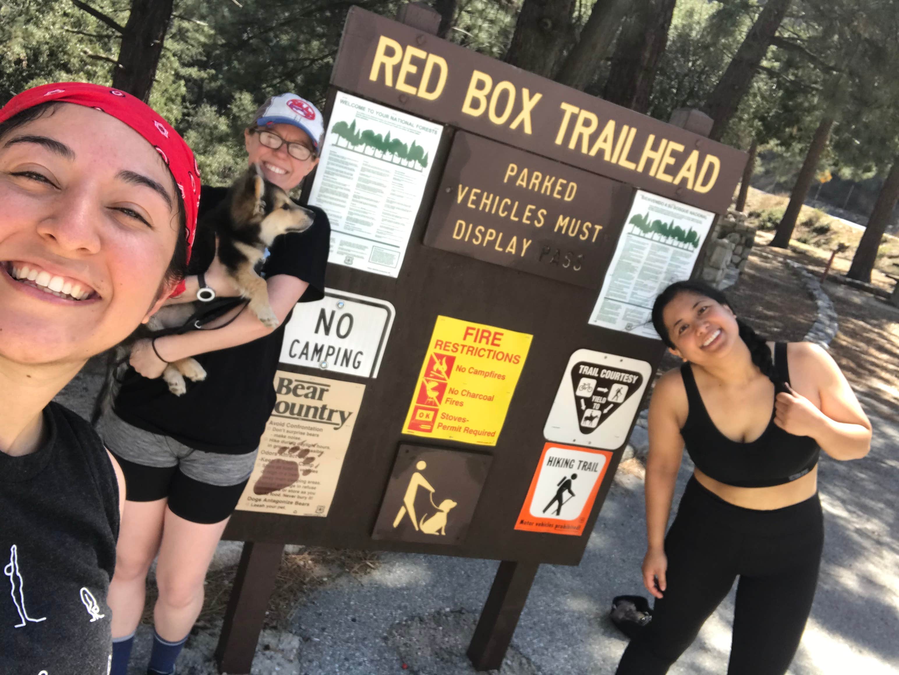 Kelly B.'s photo of camping with pets at Valley Forge Trail Camp hike in. no drive near Acton, CA