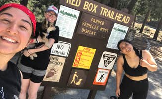 Kelly B.'s photo of camping with pets at Valley Forge Trail Camp hike in. no drive near San Gabriel, CA