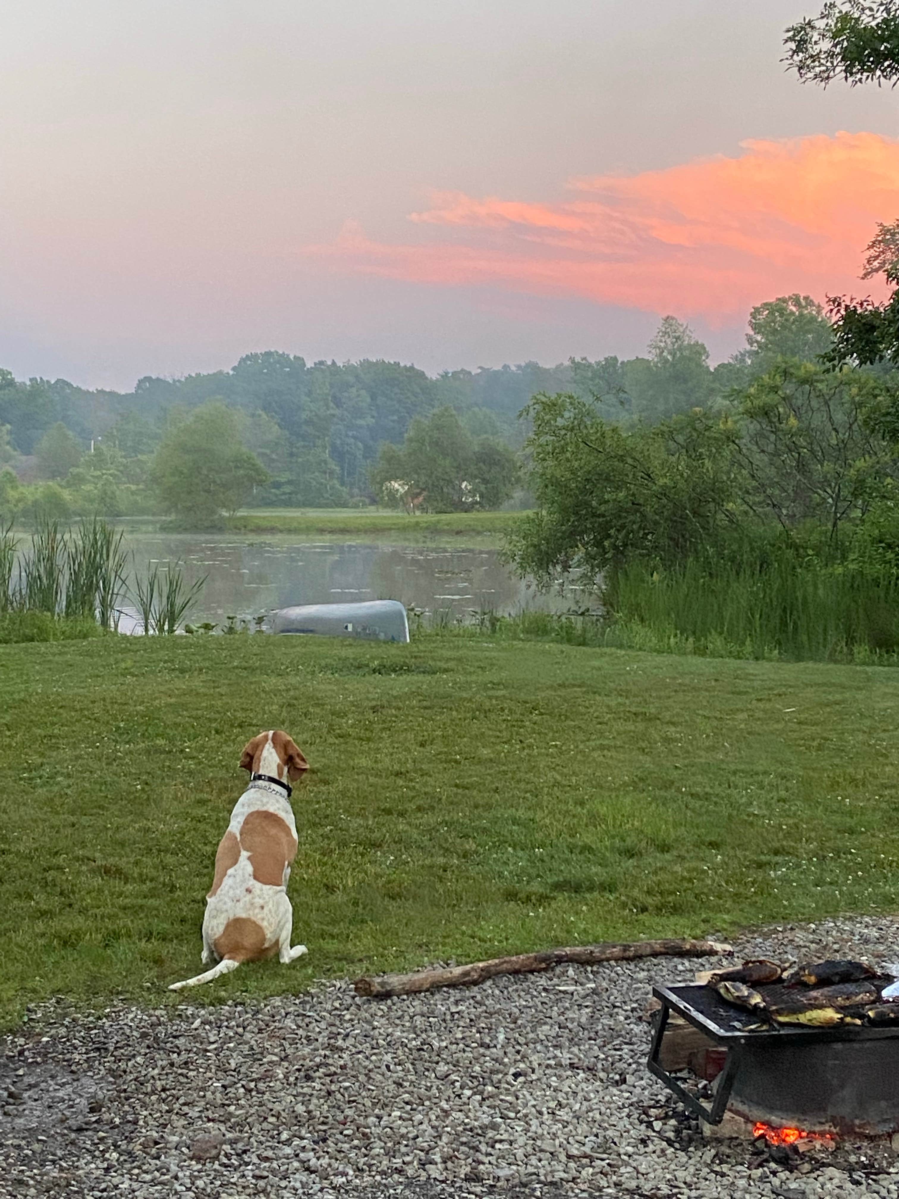 Joe F.'s photo of camping with pets at Hidden Lakes Family Campground near Geneva-on-the-Lake, OH