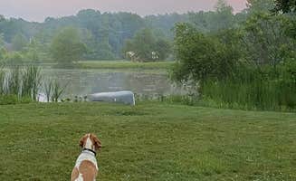 Joe F.'s photo of camping with pets at Hidden Lakes Family Campground near Petersburg, PA