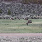 Review photo of Camp Lutherwood of Utah by Bob L., June 22, 2021