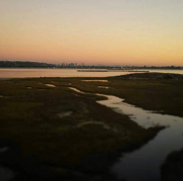 Camper submitted image from Campland on the Bay - 5