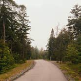 Review photo of Schoodic Woods Campground — Acadia National Park by Connor W., June 23, 2021