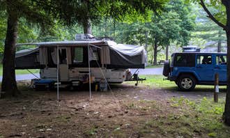 Camping near Twin Streams Campground: Little Pine State Park Campground, Jersey Mills, Pennsylvania