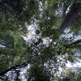 Review photo of Hidden Springs Campground — Humboldt Redwoods State Park by Aaron S., June 23, 2021