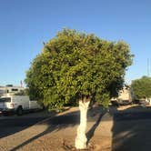 Review photo of Orange Grove RV Park by Mike H., June 23, 2021