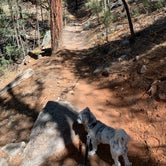 Review photo of Jemez Falls Campground by Karla Y., June 23, 2021
